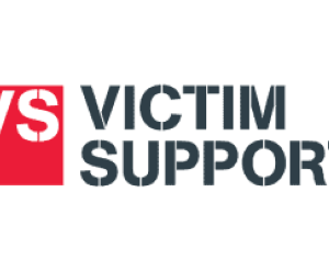 VS logo