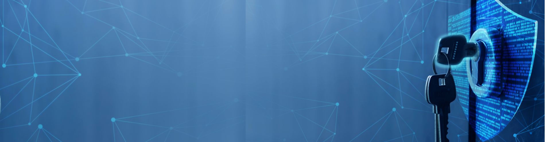 Data Protection - Banner Image
