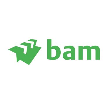 BAM logo