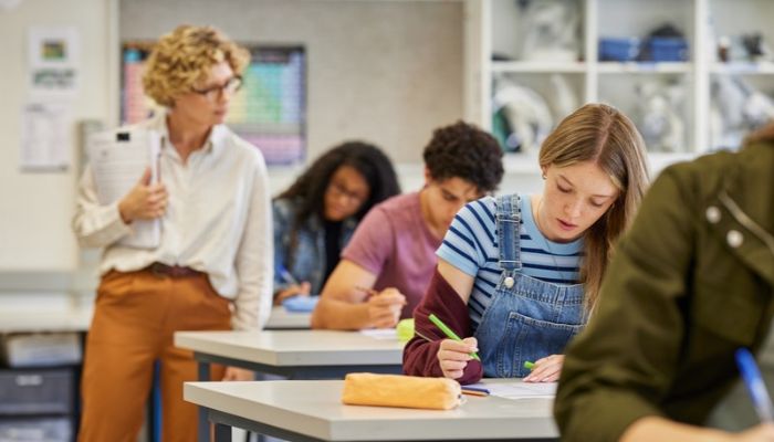 Further Education and Skills Inspections Conference image